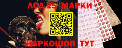 стаф Можга