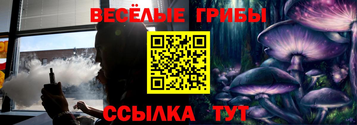 купить наркотик  Псилоцибиновые грибы GOLDEN TEACHER  Вход с VPN  Гусев 